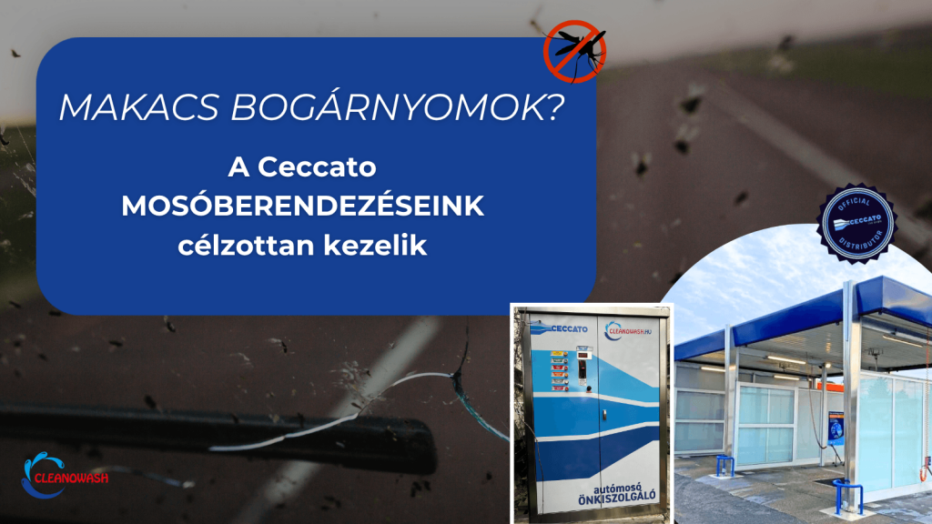 Bogárnyomok eltávolítása és foltmentes autómosás